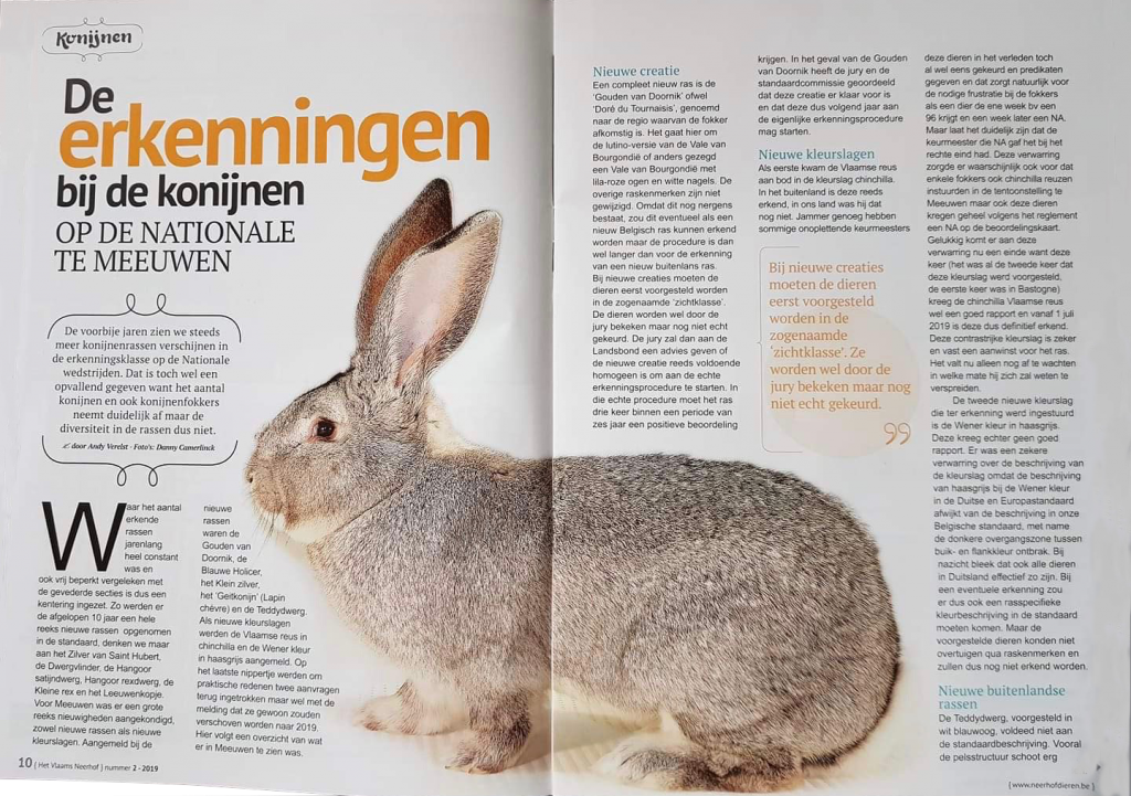 Artikel over erkenningen bij konijnen in België