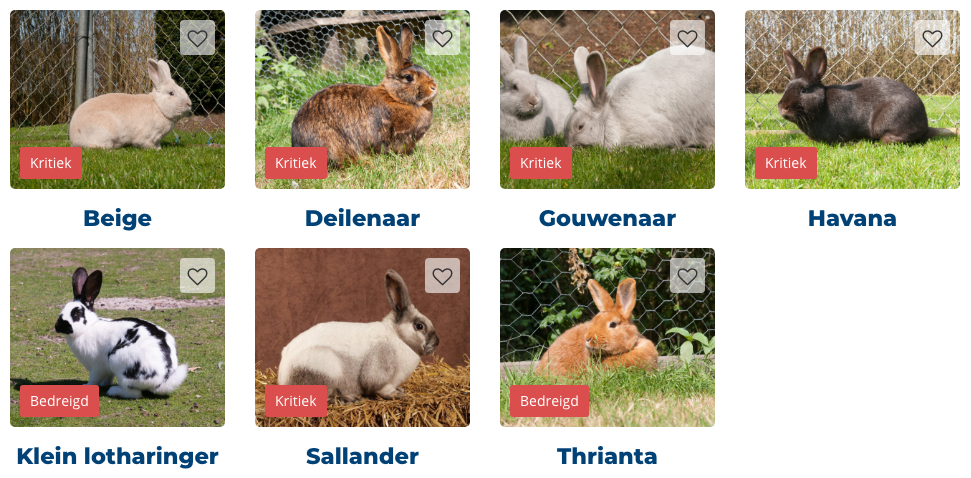 Overzichtsfoto kritieke rassen van de website van Stichting Zeldzame Huisdierrasssen (www.zsh.nl)