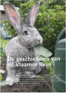 Cover artikel VlaamseReus