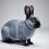 The Colour of a Hare